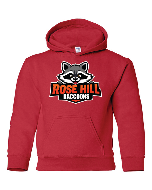Youth Rose Hill Raccoon Hoodie NEW DESIGN